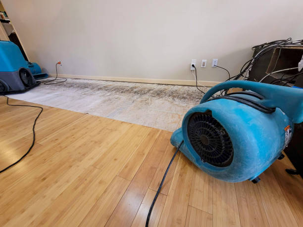 Professional Structural Drying technician working in Rosedale, LA